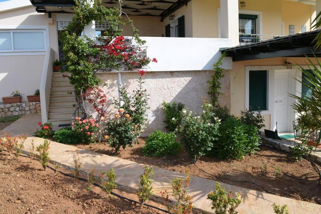 Paloma Holiday home *